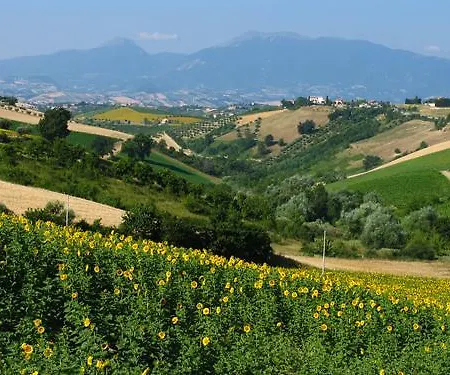 Cherry House - Geranio Lantställe Monterubbiano